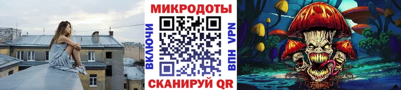 Галлюциногенные грибы Psilocybe  Купить  Покровск 